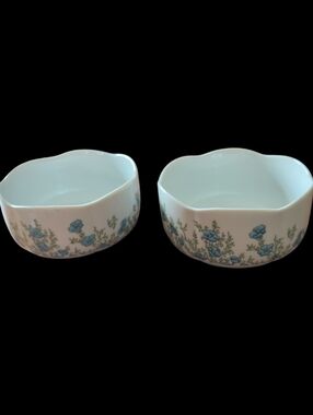 Vintage Tirschenreuth Fleur Fiorita China Set Of 2 Bowls -Rare!